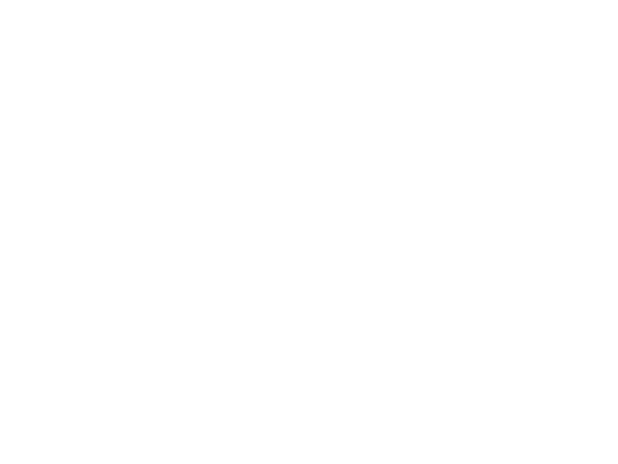 Nica Flex Internacional